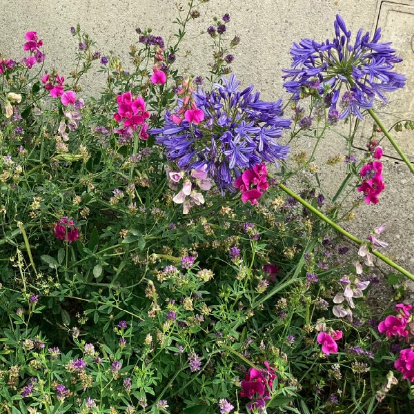 Photo prise par Agn&egrave;s